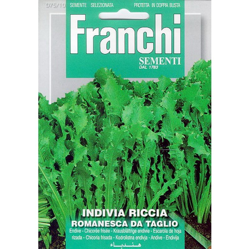 Semences - Chicorée Romaine - Indivia Riccia Romanesca da Taglio - 12 ...