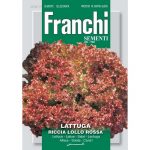 Semences – DBO78-17 – Laitue frisee rouge – Lattuga Riccia lollo rossa – Franchi
