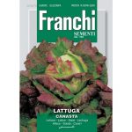 Semences – DBO79-72 – Laitue Canasta – Lattuga Canasta – Franchi