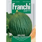 Semences – DBO91-23 – Melon tendre Valenciano – Melone tendral valenciano – Franchi