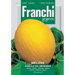 Semences – DBO91-43 – Melon jaune d hiver – Melone giallo da inverno – Franchi