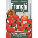 Semences – DBOS97-115 – Piment – Peperone piccante calabrese – Franchi