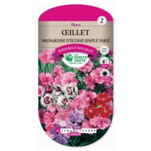 Semences - 655-OEILLET MIGNARDISE D’ECOSSE SIMPLE VARIE-page1 - Les Doigts Verts