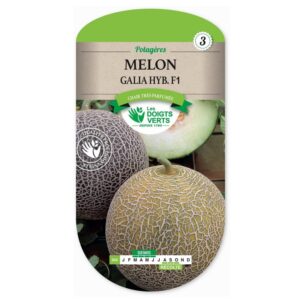 Graines - Melon Galia Hybride F1 - 0,5 gr - Les Doigts Verts