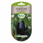 graines aubergine black beauty 2,5 gr les doigts verts