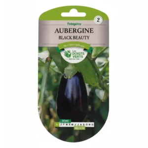 graines aubergine black beauty 2,5 gr les doigts verts