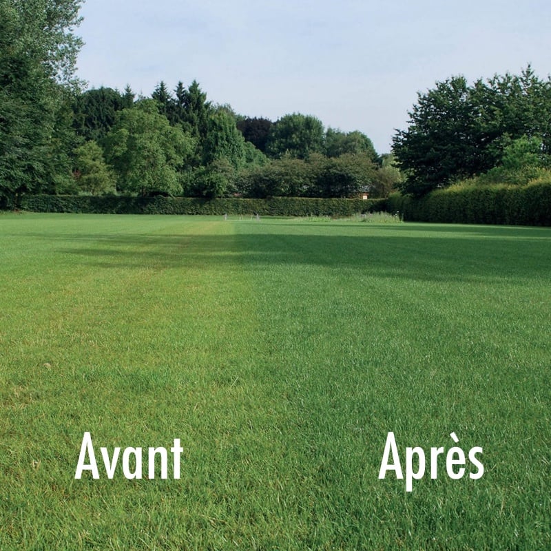 Graines à Gazon Fast Repair - 2 Kg Pour 100 M² - Germination Rapide, Gazon Dense - Pour Pelouses Et Terrains De Sport