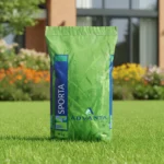 semences gazon sport et jeux sporta 10 kg 400 m² advanta
