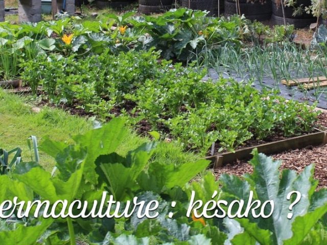 La permaculture késako
