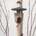 Mangeoire pour oiseaux – FEEDR anthracite – SINGING FRIEND sur arbre