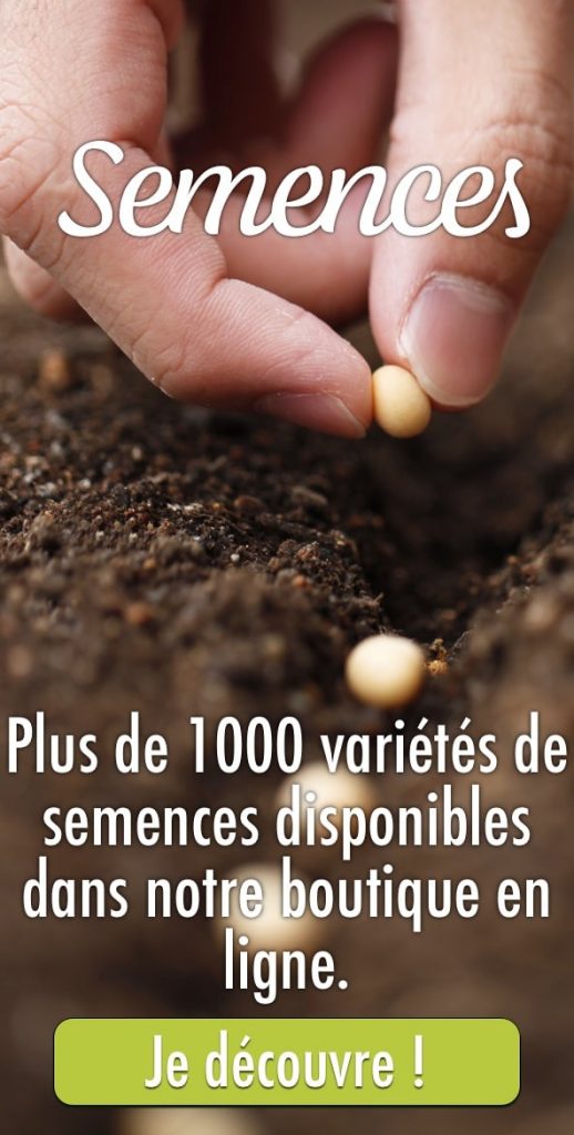 Blog - Pub verticale semences 1000 variétés