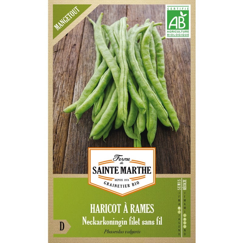 Semences bio - 954293 HARICOT à Rames Neckarkonigin Filet Sans Fil Mangetout AB - Ferme de Sainte Marthe