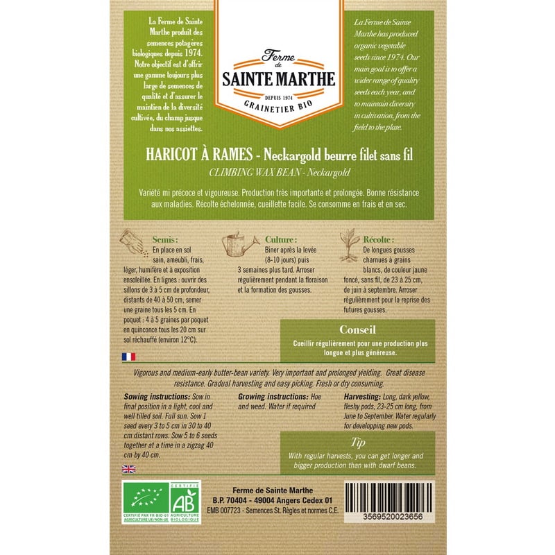 Semences bio - 954294 HARICOT A Rames Neckargold Beurre Filet Sans Fil AB v - Ferme de Sainte Marthe
