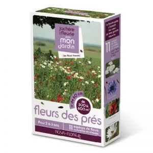 Semences - Jachère Fleurie - Fleurs des Prés 300 à 600 m² - Nova-Flore