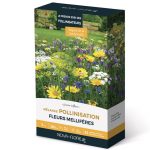 Semences – Prairie Fleurie – Amis du Jardin – Pollinisation 7 m² – Nova-Flore