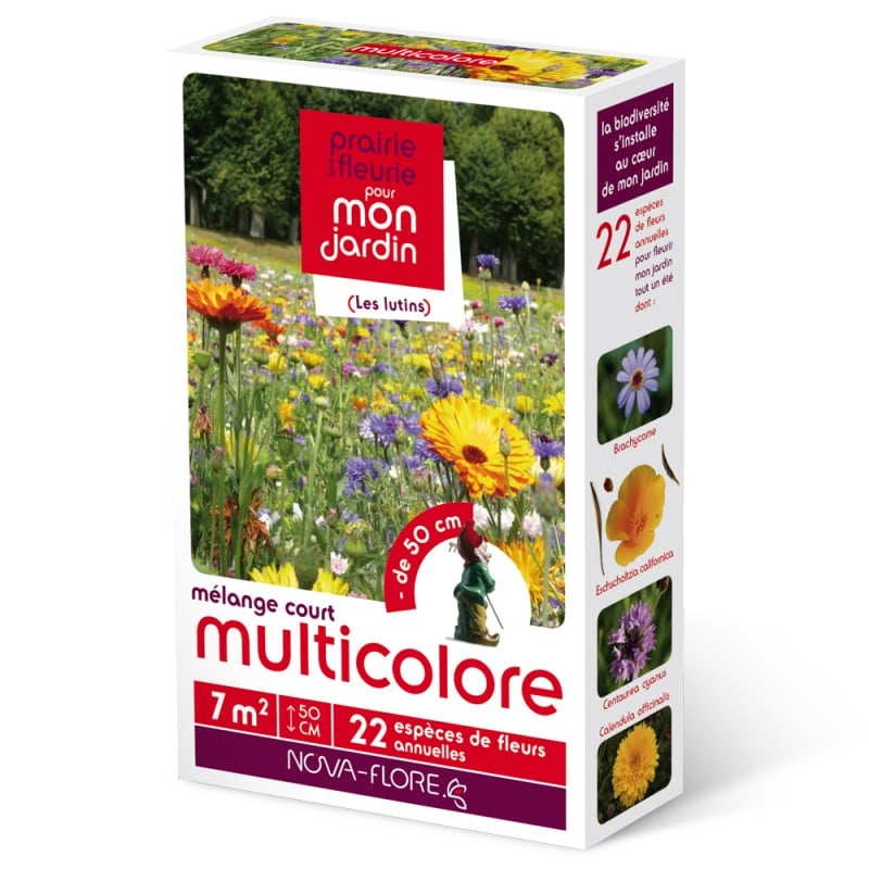 Semences - melange-de-graines-courte-multicolore 7m2 - Nova-Flore