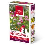Semences – melange-de-graines-courte-sensation 7m2 – Nova-Flore