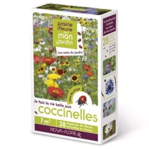 Semences - prairie-fleurie-speciale-coccinelles 7m2 - Nova-Flore