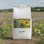 graines jachère mellifère fleurs de printemps 500 m² nova flore