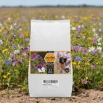 graines jachère mellifère fleurs d'été 500 m² nova flore