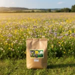 graines jachère mellifère terrain frais 2500 m² nova flore