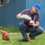Poudreuse – Bobby 500 gr – Birchmeier poule