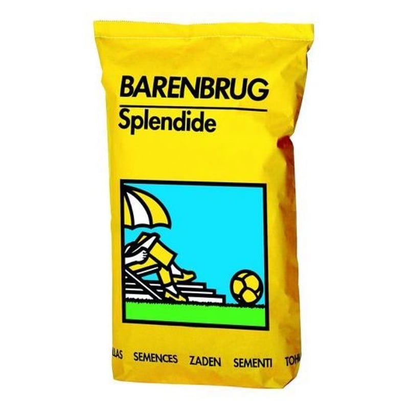 Semences - Gazon polyvalent et jeux - Splendide 15 kg - 500 m² - Barenbrug