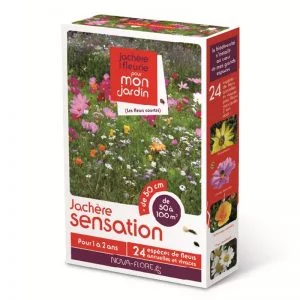 produit Semences - Jachère Fleurie - Sensation 50 à 100 m² - Nova-Flore