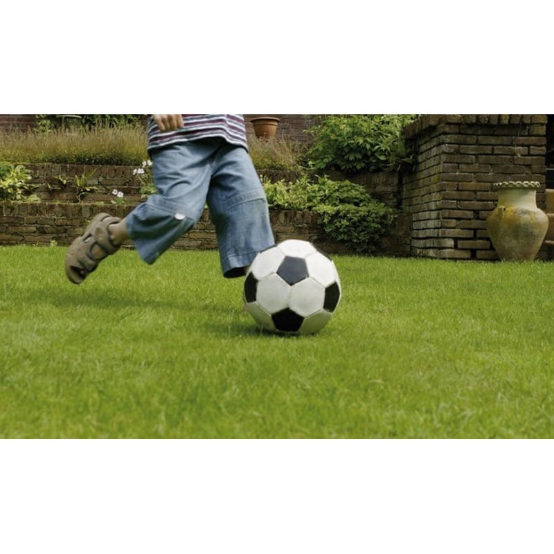 Semences - Gazon Sport - Sport 15 kg - 500 m² - Barenbrug 2