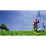 Semences – Gazon sport et jeux pour terrain sec – Water Saver – Barenbrug 2