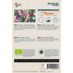 Semences bio – 94415_1 POIS DE SENTEUR SPENCER VARIE – BUZZY Organic