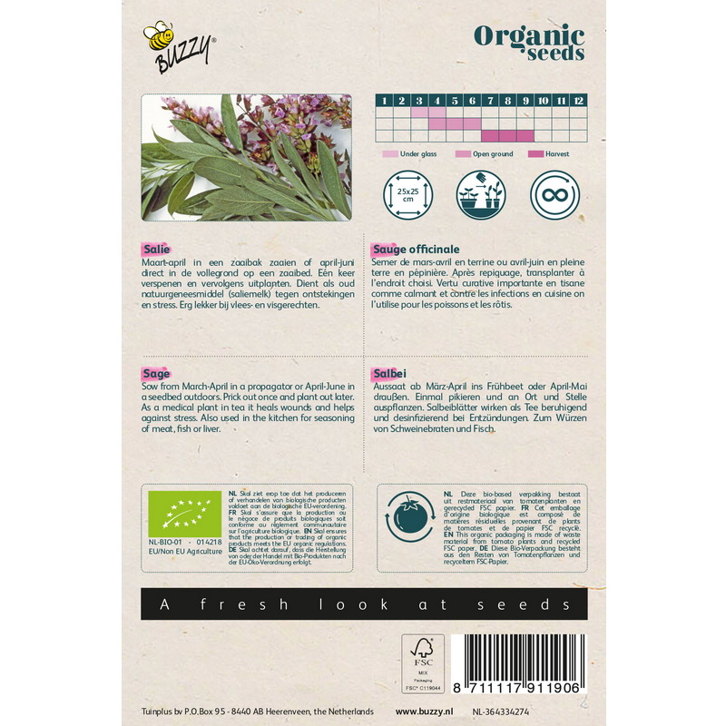 Semences bio - 91190_1 SAUGE OFFICINALE - BUZZY Organic