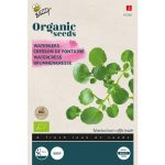 Semences bio – 91240 CRESSON DE FONTAINE – BUZZY Organic