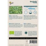 Semences bio – 92015_1 CHICOREE SCAROLE – BUZZY Organic