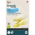 Semences bio – 92125 CHOCOREE DE BRUXELLES – BUZZY Organic