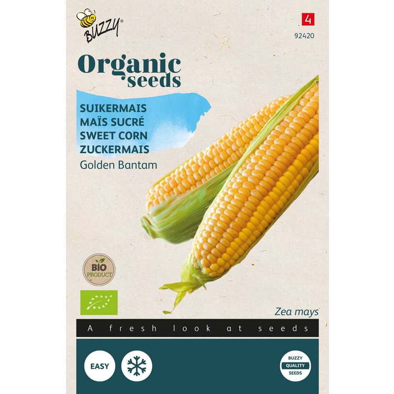 Semences bio - 92420 MAIS SUCRE GOLDEN BANTAM - BUZZY Organic