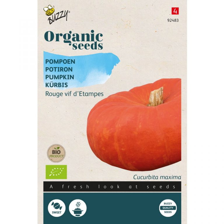 Semi Di Zucca Vif D'Etampes - Varietà Tradizionale Francese, Confezione 3g, Orto Facile