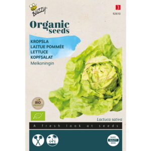 Graines - Laitue Pommée Reine de Mai bio - 1 gr - Buzzy Organic
