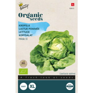 Graines - Laitue Pommée Hilde II bio - 0,1 gr - Buzzy Organic