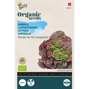 Graines - Laitue Pommée Merveille des 4 Saisons bio - 1 gr - Buzzy Organic