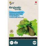 Semences bio – 92688 MELANGE DE SALADE ASIATIQUE – BUZZY Organic