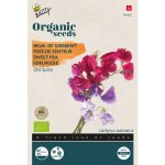 Semences bio – 94402 POIS DE SENTEUR OLD SPICE – BUZZY Organic