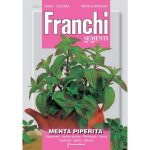 Semences – DBA92-1 – Menthe Poivrée Menta Piperita – Franchi