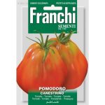 Semences – DBO106-132 – Tomate-Pomodoro Canestrino – Franchi