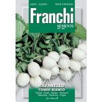 Semences – DBO112-2 – Radis-Ravanello Tondo Bianco – Franchi
