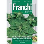 Semences – DBO130-1 – Epinard-Spinacio Tetragonia Nuova Zelanda – Franchi