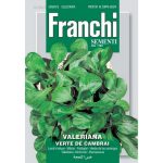 Semences – DBO140-6 – Mâche-Valeriana Verte De Cambrai – Franchi