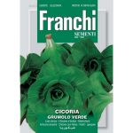Semences – DBO40-2 – Chicorée Cicoria Grumolo Verde – Franchi