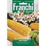 Semences – DBO88-20 – Maïs Da Pop Corn – Franchi
