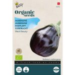 Semences bio – 92072 AUBERGINE BLACK BEAUTY – BUZZY Organic